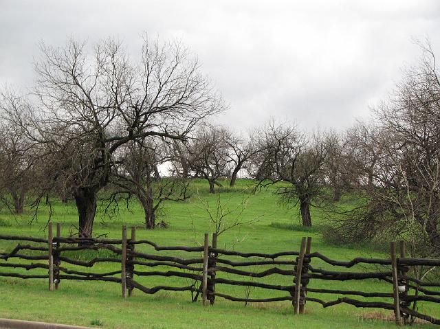 c1456 fence, field, trees 